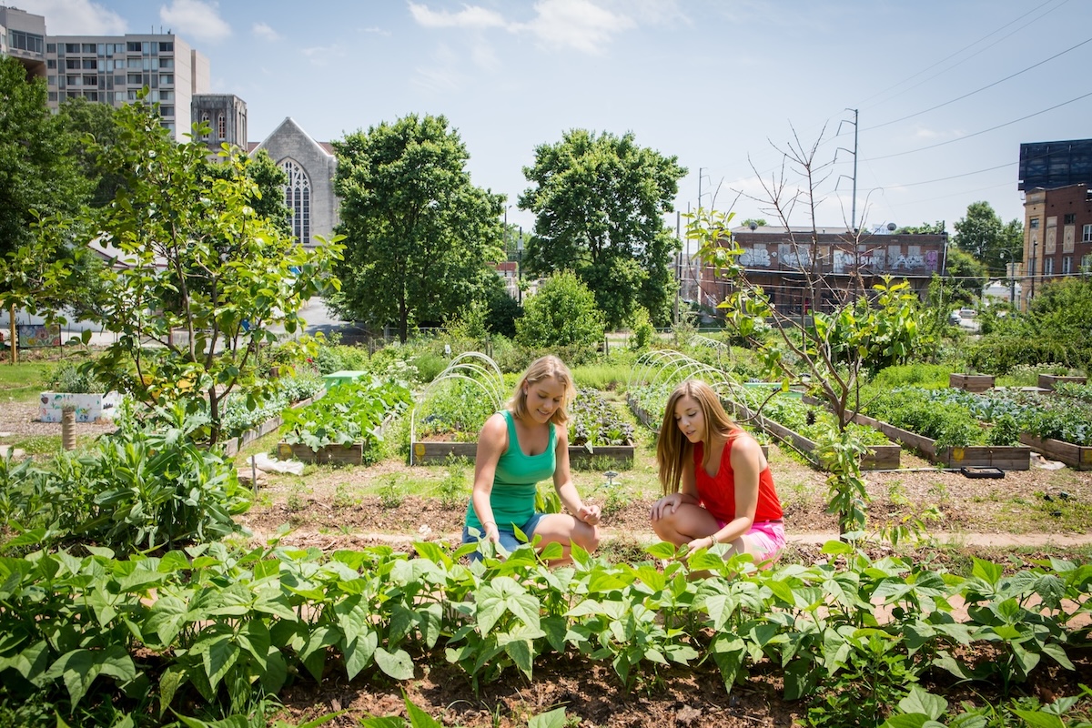 Clinic students at Atlanta’s Wheat Street Gardens